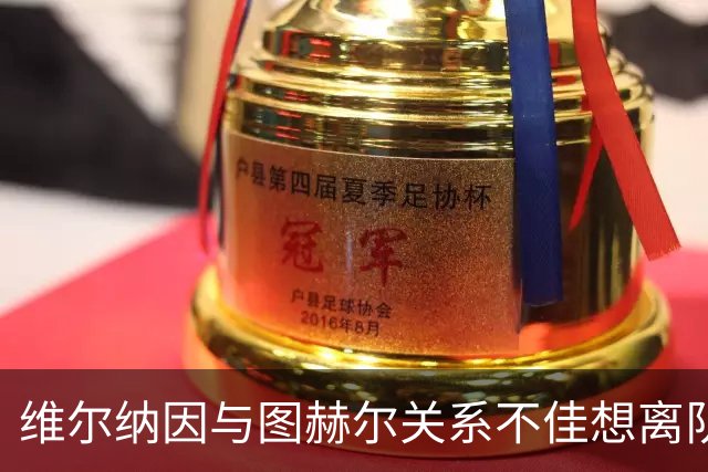 维尔纳因与图赫尔关系不佳想离队 蓝军也想送走他