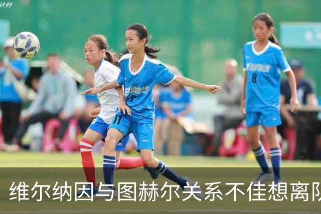 维尔纳因与图赫尔关系不佳想离队 蓝军也想送走他